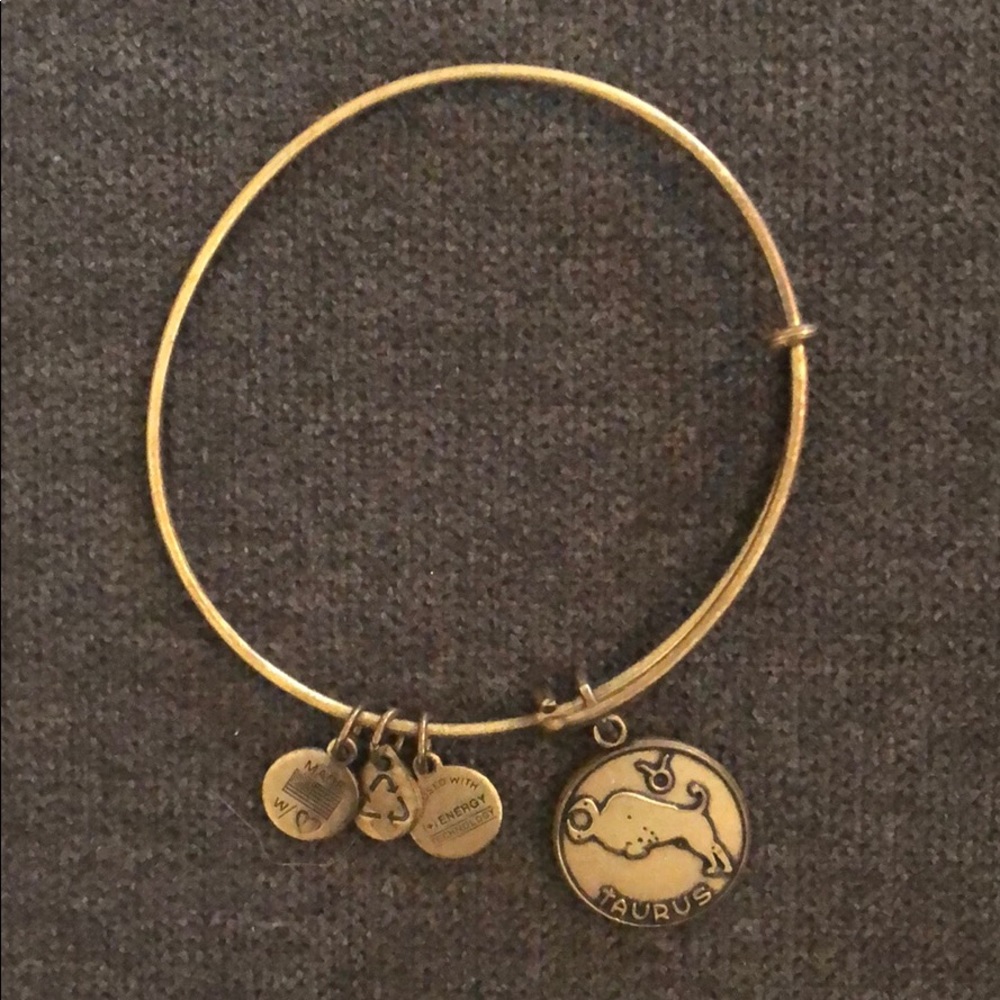 Alex and Ani Taurus Bangle Bracelet